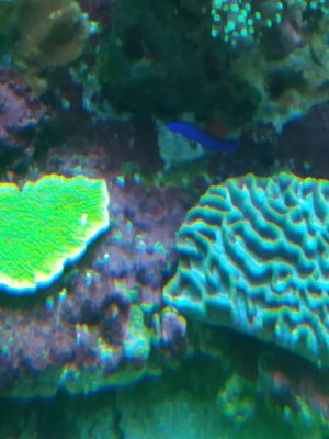 20170210_114514.jpg