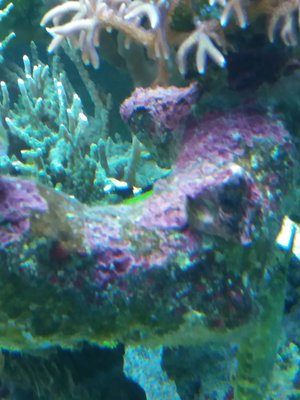 20170210_114504.jpg