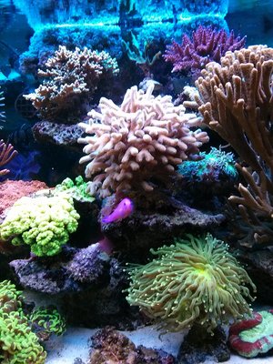 IMG_20131125_093243.jpg