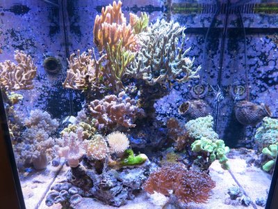 IMG_8372a.jpg