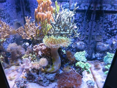 IMG_8299a.jpg
