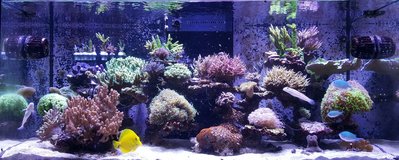 IMG-20170223-WA0001.jpg