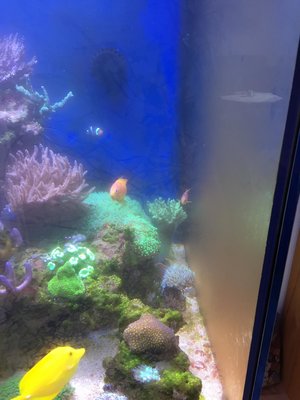 K1600_IMG_3435.JPG