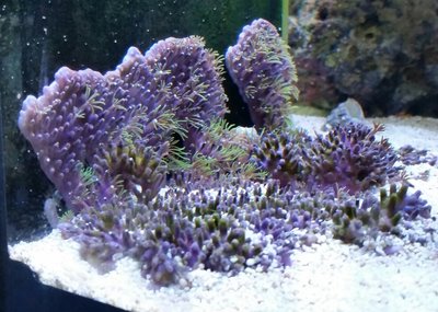 2017-04-16 12.19.23.jpg