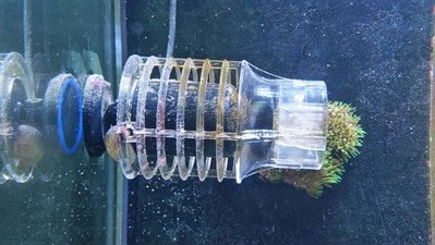 2017-05-25 09.34.19.jpg