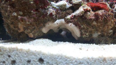 IMG-20170622-WA0007.jpg