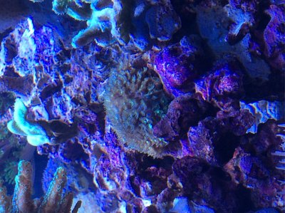 IMG_0511.JPG