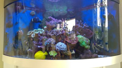2017090716275000.jpg
