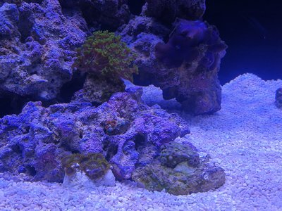 IMG_20171101_163824.jpg