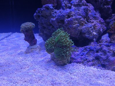 IMG_20171101_163816.jpg