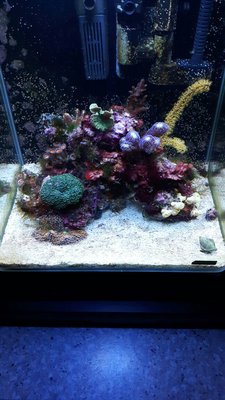 IMG-20171203-WA0006.jpg