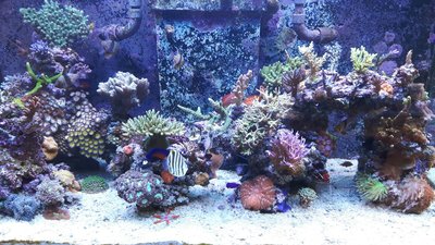 20180114_123108-1843x1037.jpg