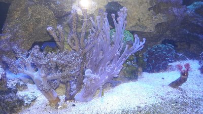 20180211_153802.jpg