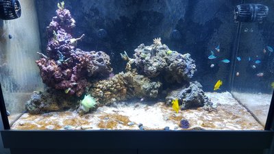 20180203_172600-2016x1134.jpg