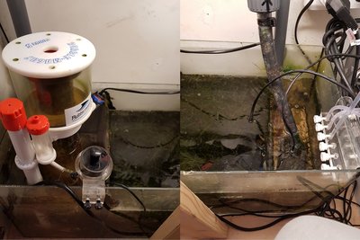 20180214_180239.jpg