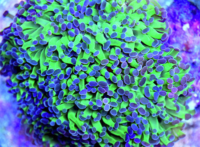 60751AD5-AD18-483A-BB46-5E51D2444B64.jpeg
