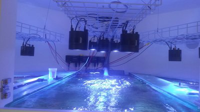 20151017_141021_resized.jpg (698.46 KiB) 8269 mal betrachtet Einfache Montage