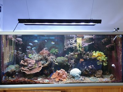 Foto neu.jpg (573.43 KiB) 11048 mal betrachtet Becken 01.07.2020