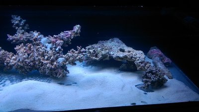 IMAG0704.jpg