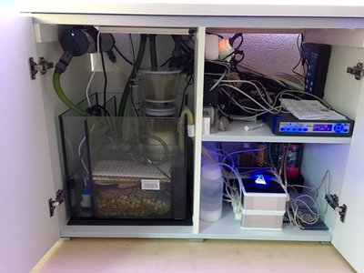FullSizeRender-8.jpg