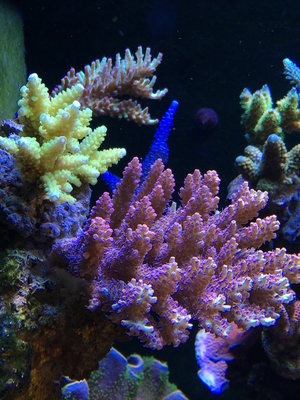 IMG_2373.jpg