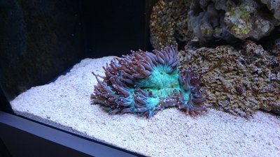 DSC_0104.jpg