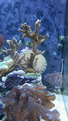 20160210_133407-1200x2133.jpg