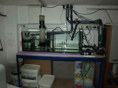 ov_p2237100.jpg