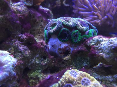 IMG_0777 (1).jpg