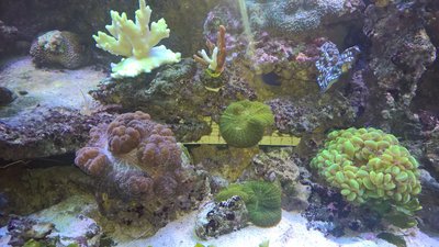 WP_20160316_19_10_13_Pro.jpg