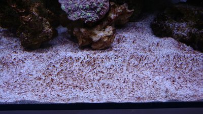 DSC_0368.jpg