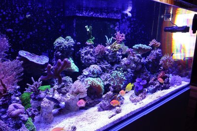 Sony RX100-01449.jpg