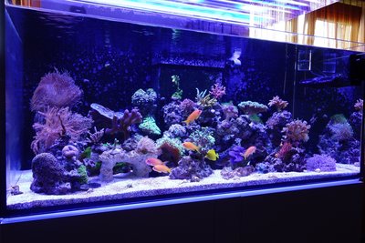 Sony RX100-01448.jpg