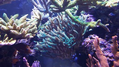 IMG-20160410-WA0021.jpg