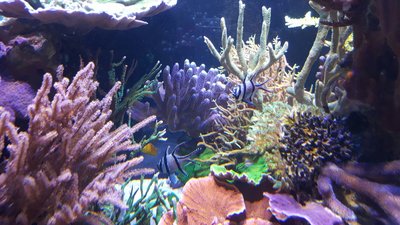 IMG-20160410-WA0024.jpg