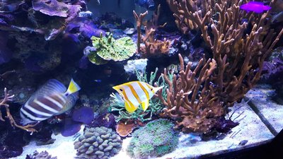 IMG-20160410-WA0025.jpg