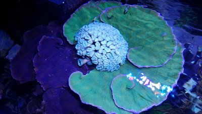 IMG-20160410-WA0026.jpg