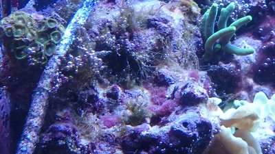 _20160411_204319.JPG