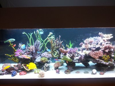 210414.jpg (445.1 KiB) 13931 mal betrachtet April 2014