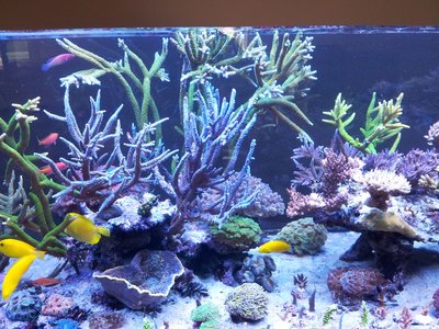 021114.jpg (623.94 KiB) 13931 mal betrachtet November 2014