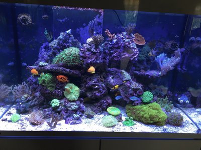 Aquarium_20160619.jpg