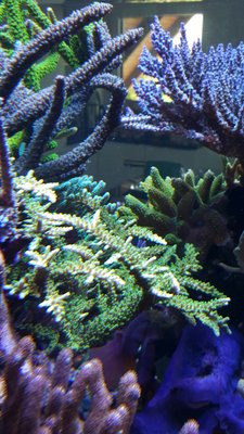 IMG-20160710-WA0026.jpg