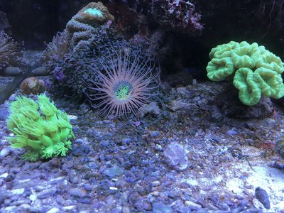Aquarium_20160805_2.jpg