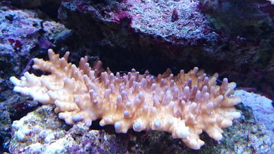 DSC_0570.jpg