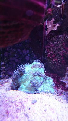 DSC_0646.jpg