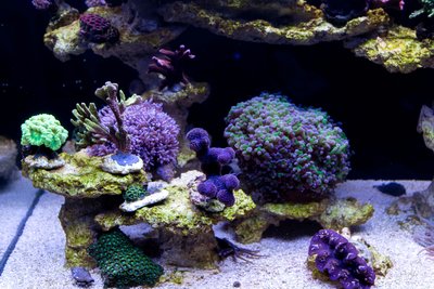 DSC_6814.jpg