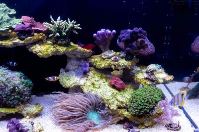 DSC_6813.jpg