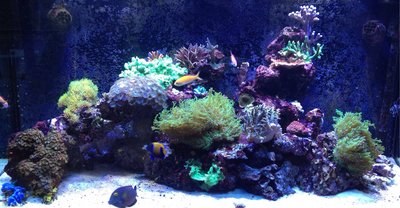 image.jpg (935.27 KiB) 13285 mal betrachtet Stand 12 seotember