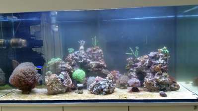 2017-02-13 16.11.59.jpg