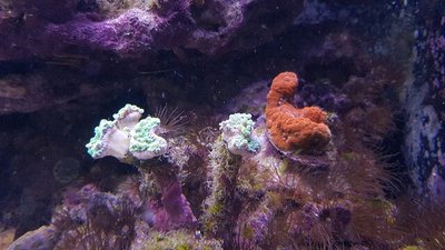 20170420_210041-640x360.jpg